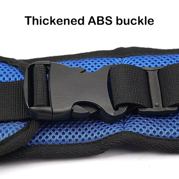 detail of wheelchair harness
