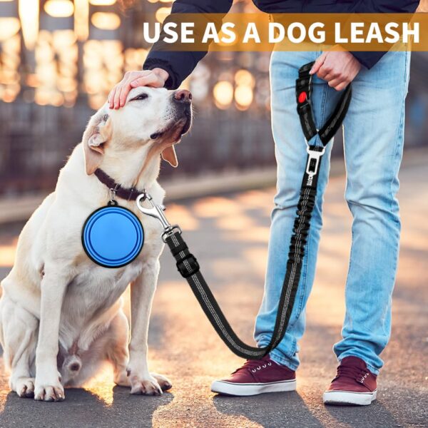 car safety belt for dogs