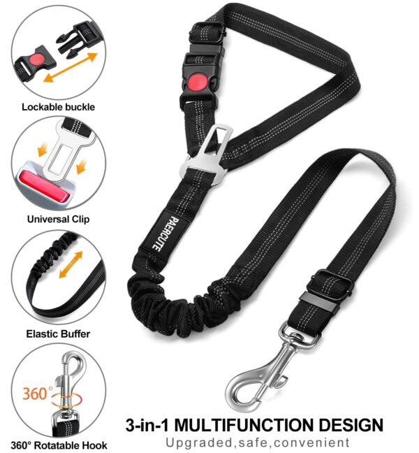 dog harness and seat belt