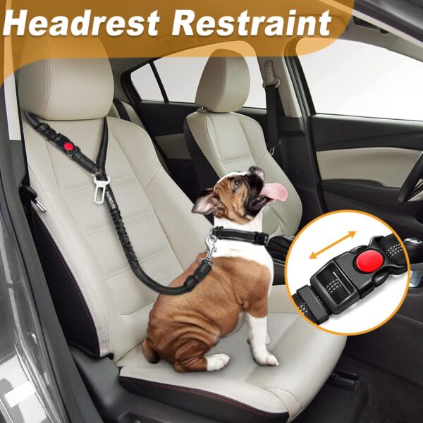 dog restraint for vehicle