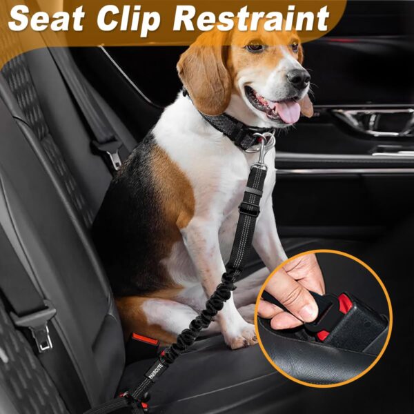 doggy seatbelt